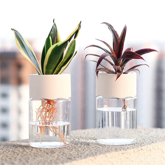 Mini Hydroponic Flower Pot Home Vase Decor Transparent Imitation Glass Soilless Plant Pots